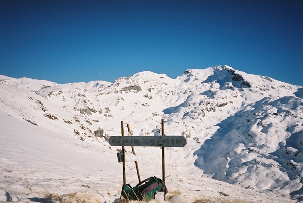 View to Mt Arthur