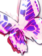 DEBRA logo