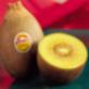 kiwilogo
