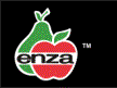 enza logo