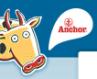 anchor logo